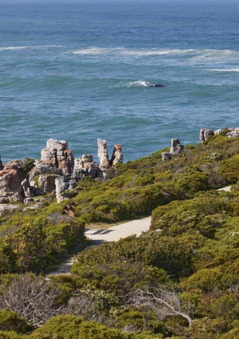 Heartwood Cottage Hermanus Exterior foto