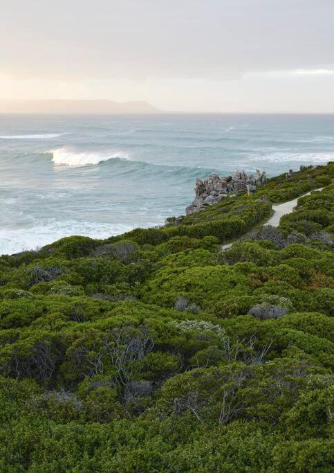 Heartwood Cottage Hermanus Exterior foto